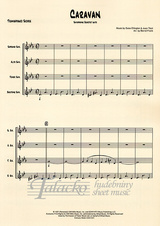 SAX 1021_2.jpg
